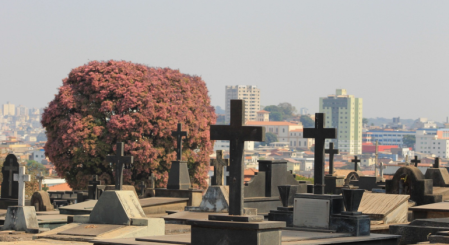 Cemitérios de Belo Horizonte terão celebrações religiosas no Dia de Finados