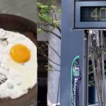 Vídeo: moradora de Cuiabá frita ovo na calçada após cidade registrar calor de 41 graus
