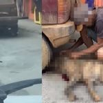 Idoso é preso após amarrar cachorro em carro e arrastá-lo por avenida de Betim (MG)