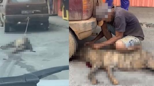 Cena revoltou moradores e internautas