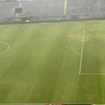 Contra o Grêmio, Cruzeiro terá neblina e gramado como outros adversários