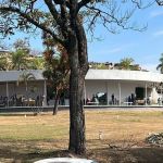 Furto de placas de bronze em sepulturas de cemitérios de BH revolta famílias