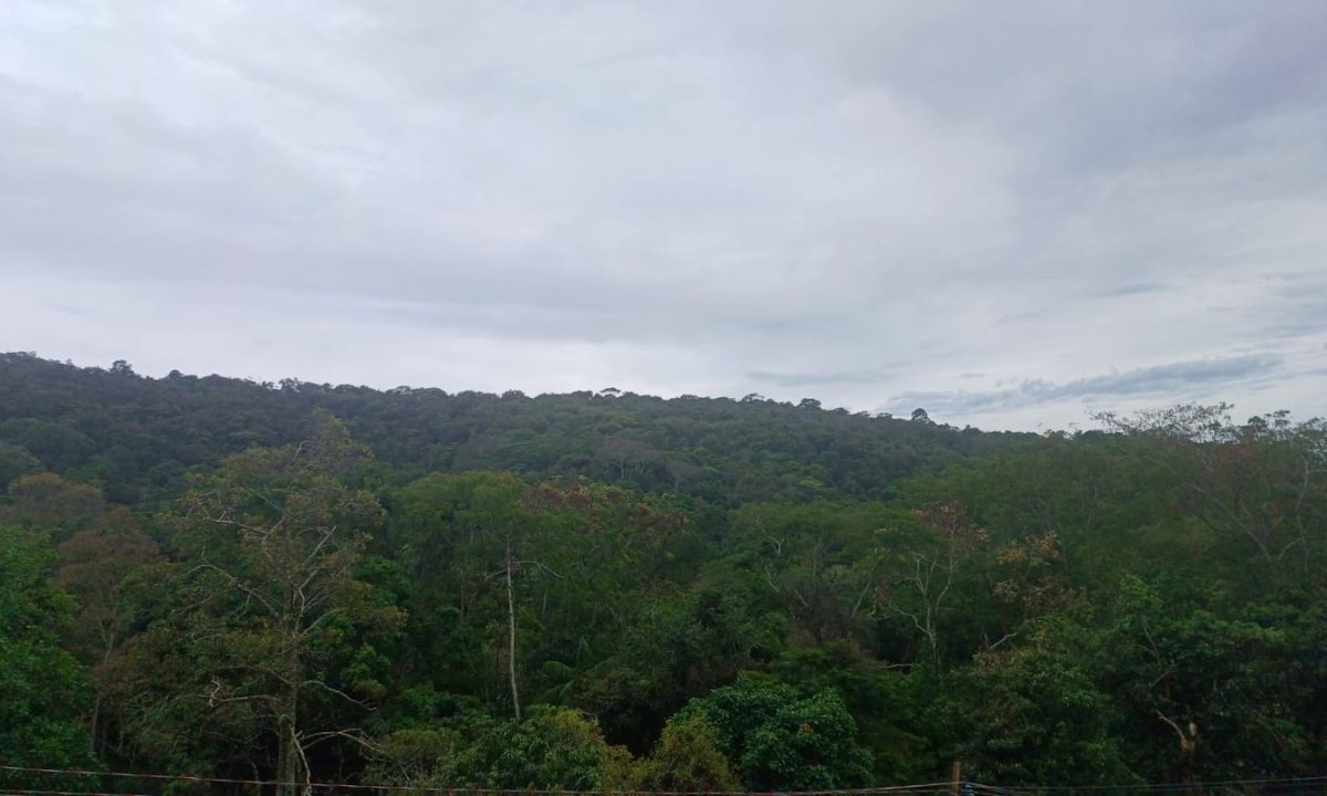 Tempo: Juiz de Fora registra mais de 20 mm de chuva neste sábado (13)