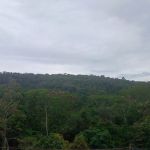 Tempo: Juiz de Fora registra mais de 20 mm de chuva neste sábado (13)