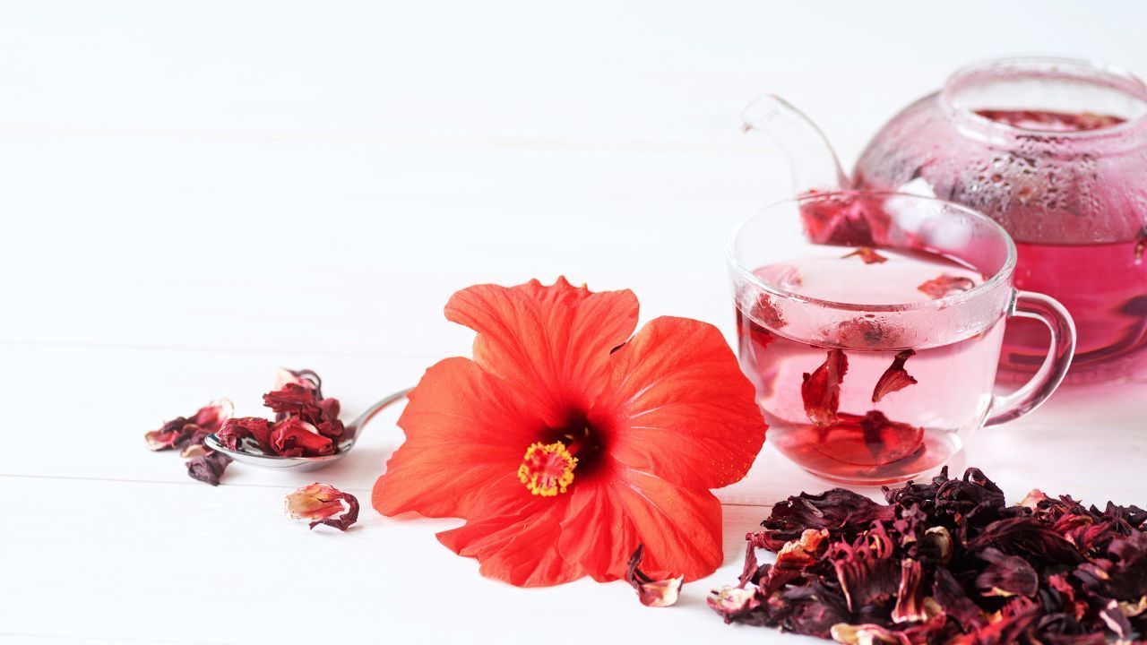 Chá de hibisco: emagrecimento e bem-estar para o seu corpo