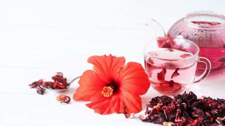 Chá de hibisco: emagrecimento e bem-estar para o seu corpo