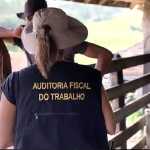 Chacina de Unaí, que completa 20 anos, mudou combate ao trabalho escravo no Brasil