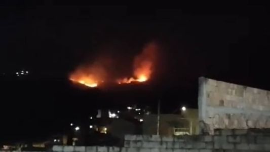 Chamas se alastraram pela vegetação do parque rapidamente