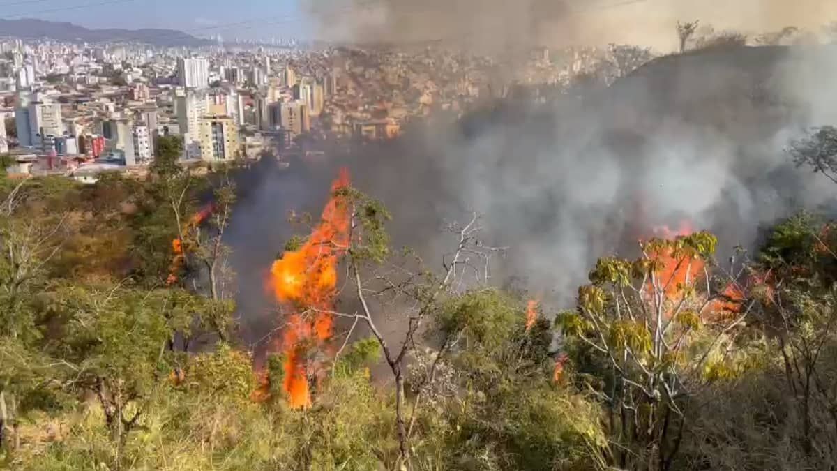 Incêndio atinge Parque Ecológico do Palmares, em BH, pela 2ª vez em 18 dias