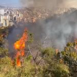 Incêndio atinge Parque Ecológico do Palmares, em BH, pela 2ª vez em 18 dias
