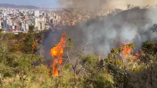 Chamas voltam a ameaçar o parque no bairro Palmares