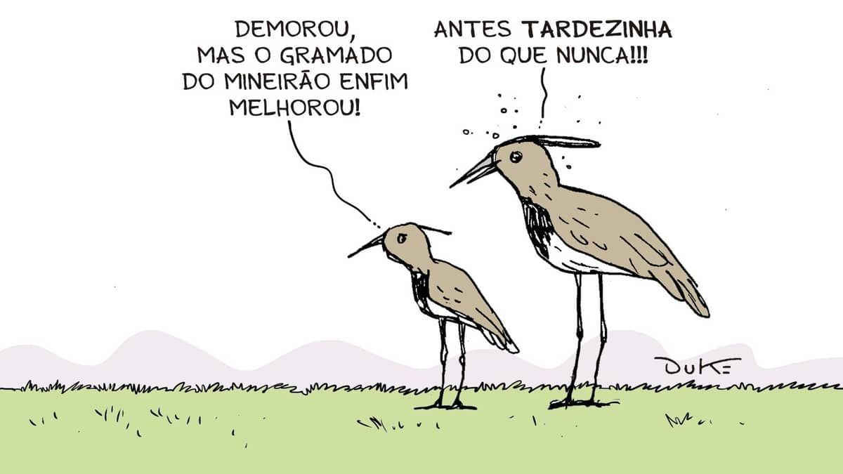 Charge do Duke: as condições do gramado do Mineirão 