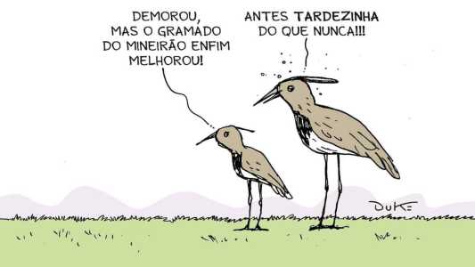 Charge do Duke