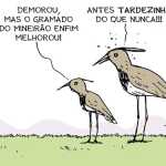 Charge do Duke: as condições do gramado do Mineirão
