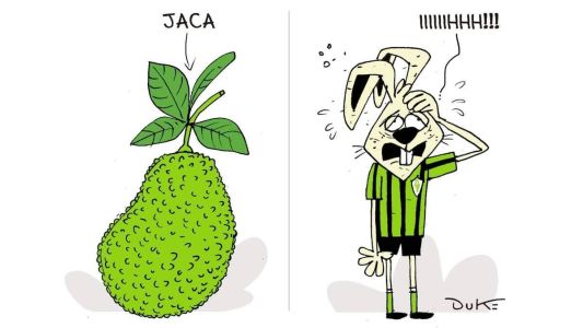 Charge do Duke