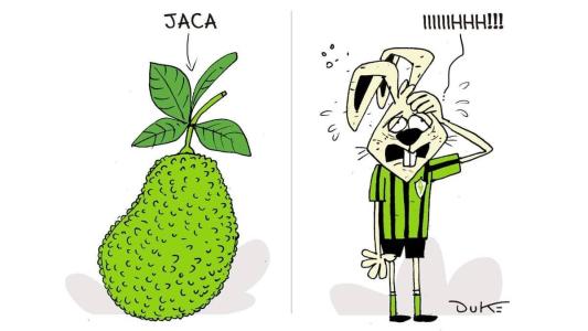 Charge do Duke