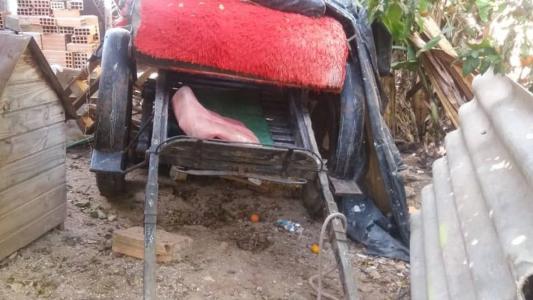 Charrete e cavalo foram localizados pela Polícia Civil