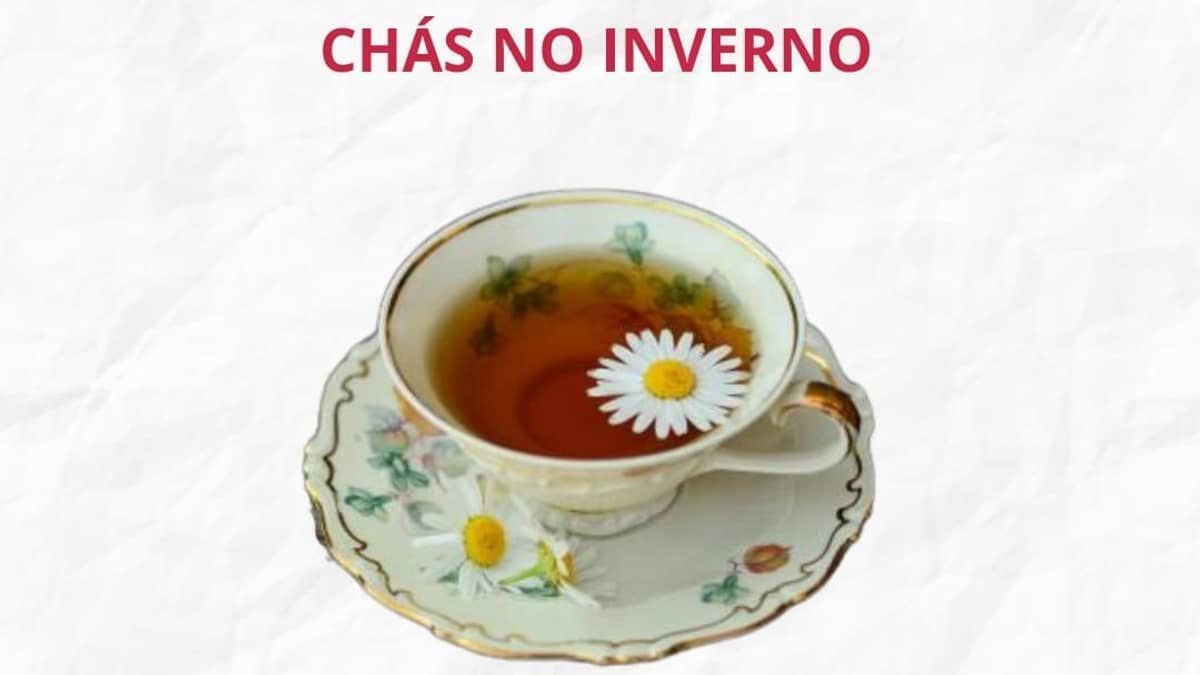 Chás no inverno: uma opção saudável e reconfortante para se aquecer