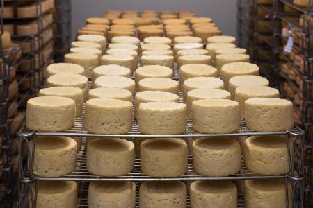 Anvisa suspende Queijo Minas Artesanal contaminado e proíbe suplemento