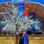 “Leite Baixo Carbono veio para ficar”, diz chefe geral da Embrapa  