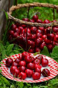 Cerejas