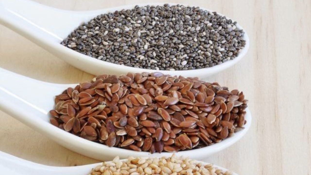Chia ou psyllium: qual fibra é mais eficiente para o intestino?