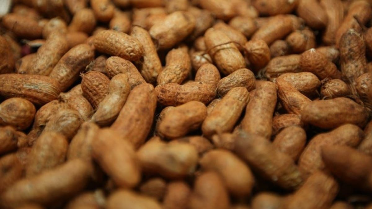 Consumidora que encontrou larvas vivas em doce de amendoim deve ser indenizada em Minas