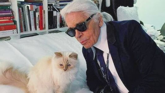 Choupette Lagerfeld foi a grande homenageada da noite do Met Gala