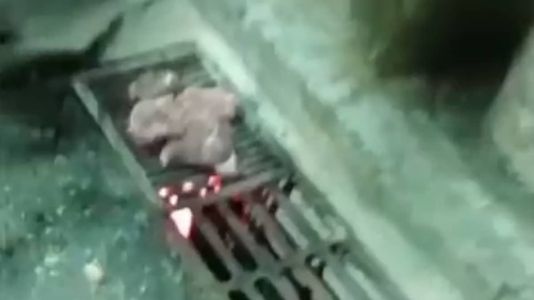 Churrasco em tampa de bueiro causou alvoroço nas redes sociais