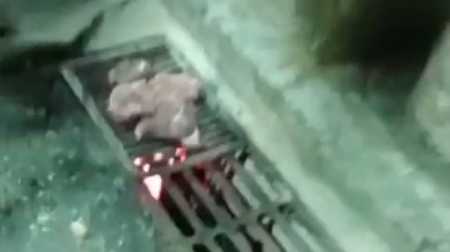 Churrasco em tampa de bueiro causou alvoroço nas redes sociais