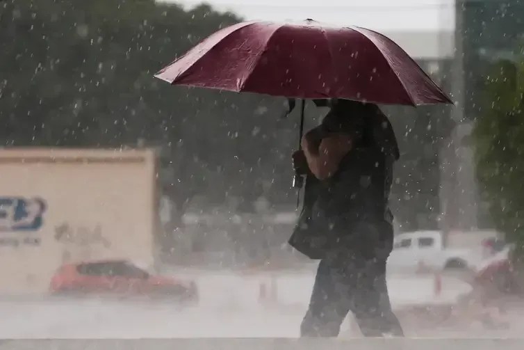Em 14 dias, já choveu quase 90% do esperado para janeiro em regional de BH