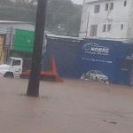 Vídeo: água sobe e avenida Antônio Carlos fica alagada durante forte temporal em BH