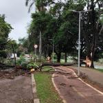 Previsão do tempo: 708 cidades de MG em alerta laranja para tempestade; veja lista