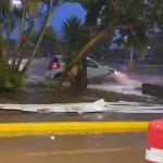 Vídeo: Belo Horizonte tem chuva forte e temporal alaga ruas na Grande BH