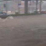 Avenida de BH 'vira' rio após regional receber 51% da chuva do mês em três horas