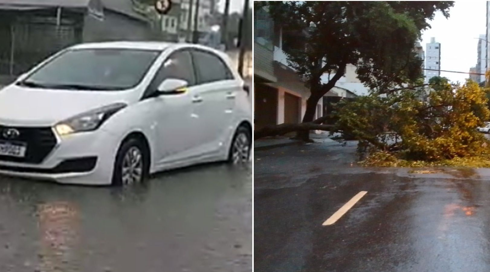 Vídeo: cidade importante de MG tem ruas alagadas e queda de árvore após chuva forte