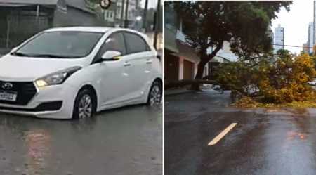Fotos mostram estragos causados pela chuva em Divinópolis