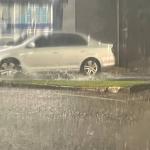Defesa Civil atende 33 ocorrências relacionadas à chuva entre sexta e sábado em BH