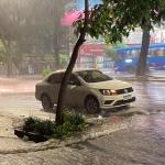 Chove forte em todas as regionais de Belo Horizonte; confira recomendações
