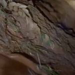 Vídeo: área próxima à mina Mar Azul da Vale, em Macacos, fica alagada após forte chuva