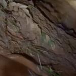 Vídeo: área próxima à mina Mar Azul da Vale, em Macacos, fica alagada após forte chuva