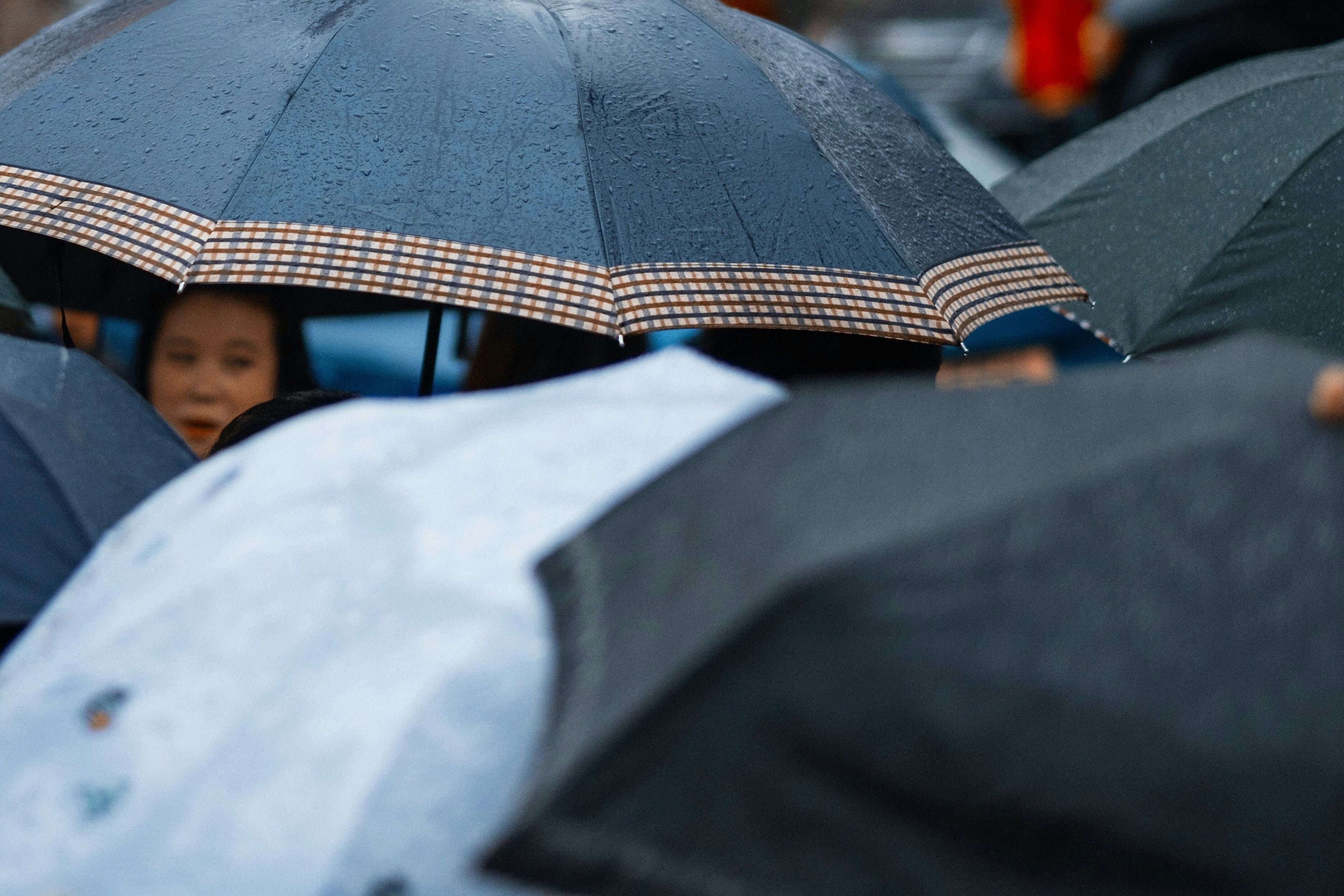 Vai chover em São Paulo? Veja como fica o clima para o sábado (4) na capital