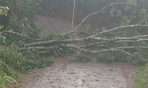 Chuva forte atinge Macacos e Pasárgadas, na Grande BH
