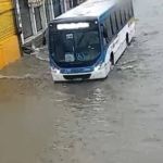 Chuva no Recife: escolas, universidade e tribunais suspendem atividades  