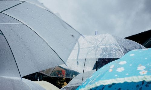 Guarda-chuvas e sombrinhas abertos em dia de chuva