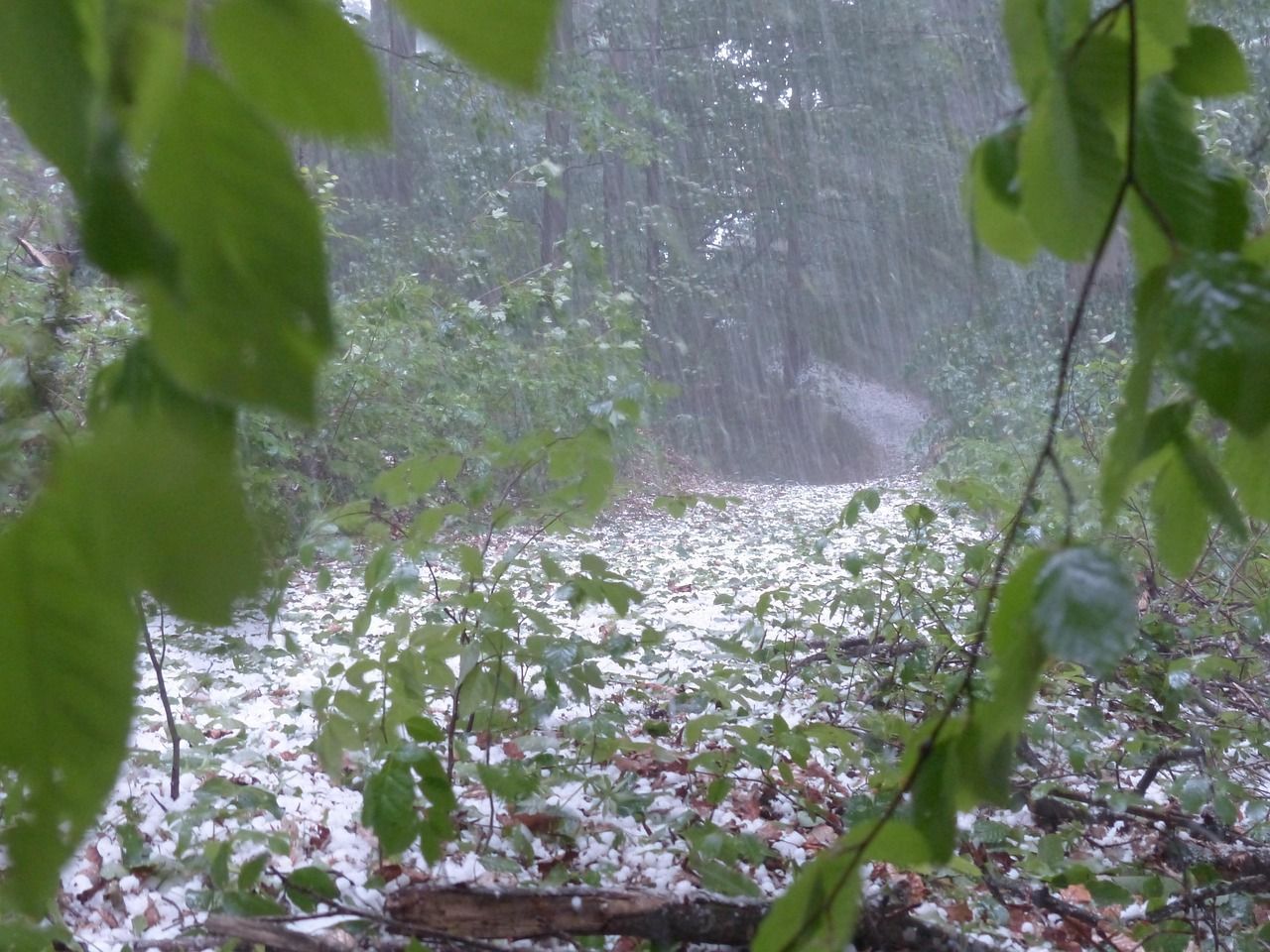 Tempestade e granizo ameaçam dezenas de cidades de MG; veja lista