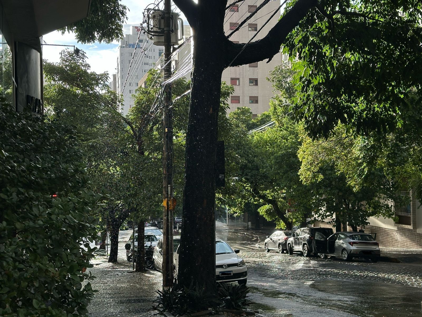 Águas de março: por que a última semana tem muitas chuvas?