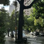 Águas de março: por que a última semana tem muitas chuvas?