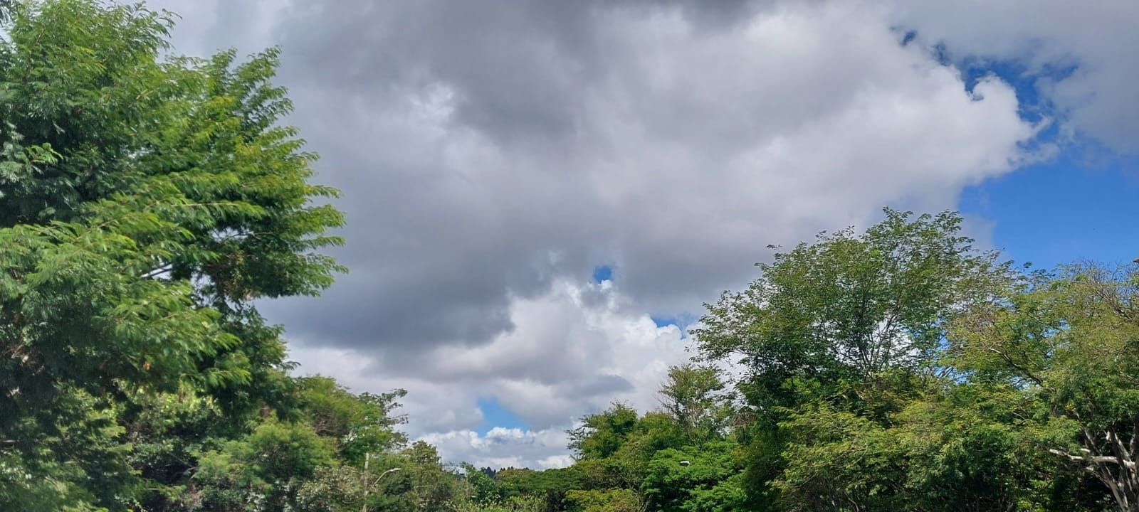 MG pode ter chuva significativa nesta semana; veja a previsão do tempo