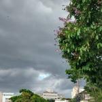 Chuva intensa e ventos de até 60 km/h podem atingir 204 cidades de MG; veja quais